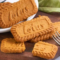 Mini ligne de production automatique de biscuits, équipement compact de transformation de biscuits sablés pour petite usine de biscuits