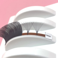 Extensions de cils personnalisées avec logo, cils inférieurs en gros, marque privée, cils coréens PBT faits à la main, haute qualité ISO/CE, volume complet