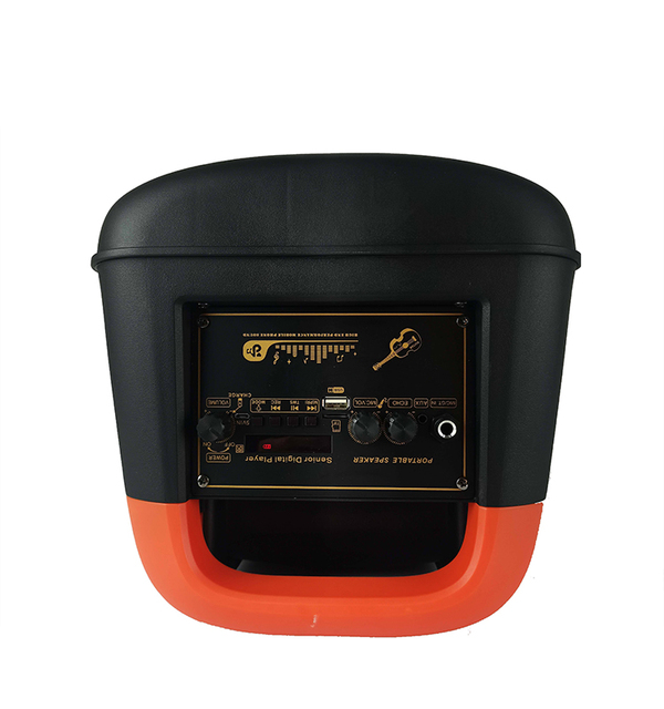 45w Powerful Portable Blue Tooth DJ Private Speaker With Dynamic Light Outdoor Party Box Speaker