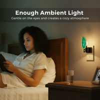 Lampes de nuit LED LOHAS en pierre de guérison, luminosité réglable, esthétique, à brancher, lampe de nuit décorative pour chambre à coucher