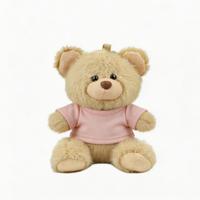 Porte-clés ours en peluche mini, jouet en peluche, ornement de sac, cadeau promotionnel, vente en gros, logo personnalisé, t-shirt, petite commande 10cm