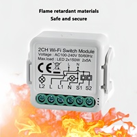 Module de commutateur WiFi intelligent SLS 2 Gang Tuya Module de relais de fil N + L avec commutateurs de télécommande de capacité 10A pour système de maison intelligente