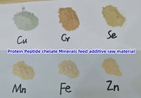 Chélate de chrome minéral, additifs alimentaires pour animaux, protéines Cr/ levure Cr 0,2%, améliore la production