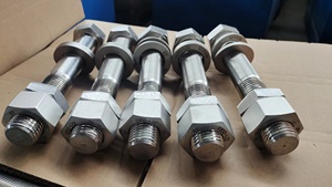 1.4520 1.4511 1.4523 1.4521 1.4105 1.4113 1.4513 thép không gỉ vít Nut M64 nặng Hex NUT - Product Image 3