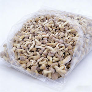 <span class=keywords><strong>Prix</strong></span> de gros IQF Champignons Nameko surgelés en vrac Biologique Sain Naturel 100% Nameko surgelé avec vente directe d'usine - Product Image 3