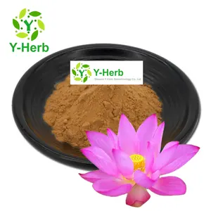 Organik Lian Hua özü tozu hibrid taze Lotus Plumule özü 10:1 Nelumbo Nucifera yaprak/tohum/çiçek özü