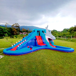 Tobogán acuático inflable de tiburón de PVC comercial <span class=keywords><strong>con</strong></span> <span class=keywords><strong>piscina</strong></span>, tobogán acuático para niños, tobogán húmedo y seco, <span class=keywords><strong>casa</strong></span> de rebote a la venta - Product Image 3