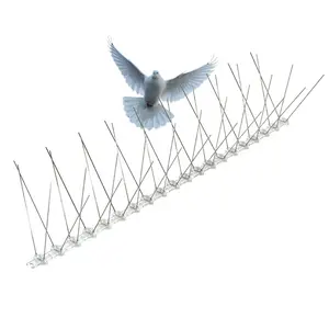 Les pointes anti-oiseaux en acier inoxydable éloignent les Pigeons utilisés par les entreprises de lutte antiparasitaire