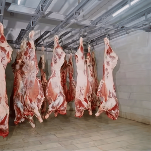 Équipement complet certifié Halal pour abattoir de bétail automatisé à moteur, destiné aux usines de transformation de viande - Product Image 3