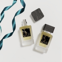Flacon de parfum vide en verre transparent de luxe, carré, 30 ml, 50 ml, avec boîte d'emballage, couvercle personnalisé, sans BPA, impression sérigraphique pour crème visage