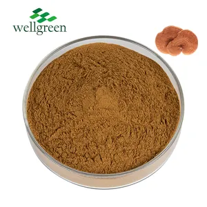 Betrouwbare Leverancier 30% 50% Polysaccharide Beta-Glucan Ganoderma Lucidum Extract Reishi Mushroom Extract