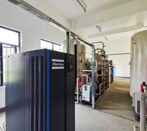 Psa Zuurstof Generator Prijs Mobiele Zuurstof Generator Plant Voor <span class=keywords><strong>Aquarium</strong></span> - Product Image 2