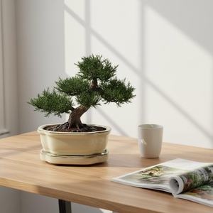 Maceta de Bonsái de Cerámica Yixing al por Mayor, Pequeña, Multiestilo, de Porcelana con Esmalte Azul, Duradera, Ecológica, para Jardín y Hogar - Product Image 1