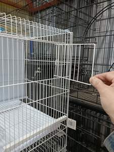 Vente en gros de nouvel arrivage double cage d'élevage d'oiseaux perroquet gris africain en acier inoxydable avec séparateur Cage à oiseaux en métal - Product Image 5