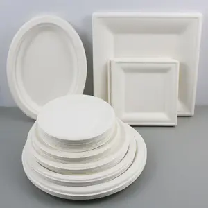 Customizable 9 Inches Greaseproof Microwavable Sugarcane Bagasse Made Eco Friendly Paper Plate