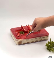 Grande Boîte à Tiramisu en Plastique Acrylique, Récipient Transparent pour Gâteaux, Tiramisus et Desserts à la Gelée