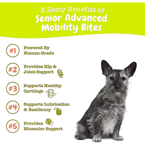 Supplément <span class=keywords><strong>d</strong></span>'usine OEM pour articulations de chien à mâcher <span class=keywords><strong>glucosamine</strong></span> chondroïtine MSM vitamine C et E soins de santé et suppléments pour animaux de compagnie - Product Image 2