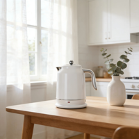 Bouilloire électrique en acier inoxydable 304 de 1,2 L avec contrôle de la température et fonctionnement à une touche pour un usage domestique et hôtelier