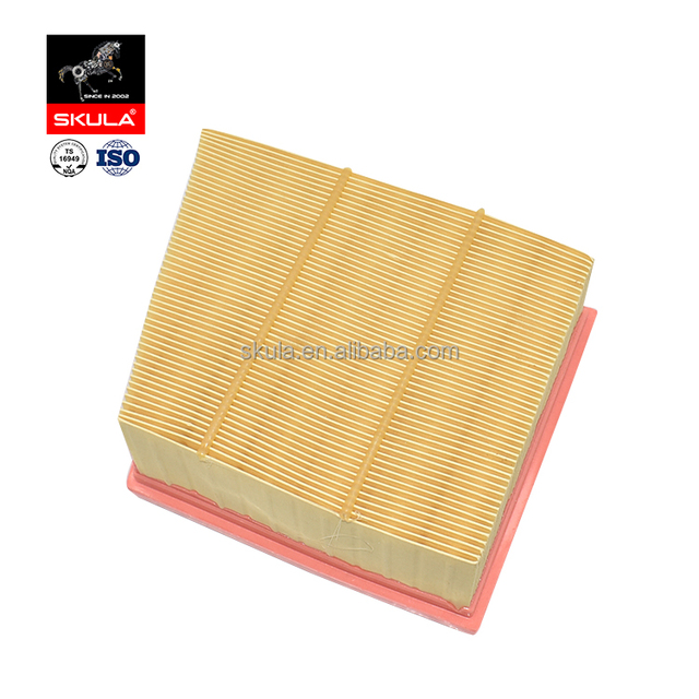 Wholesale CN119601AD 8V219601AA 1516 725 1729860 1803059 1810699 Air Filter for FORD FIESTA VI ECOSPORT B-MAX 2012-