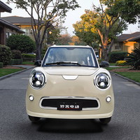 Voiture électrique à énergie nouvelle, moteur 4500W, batterie 60V, écran LCD 16 pouces, sièges de luxe, autonomie 101-200 km, couleur personnalisée pour adultes