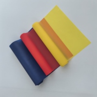 Set Pita Latihan Resistance 1.5M/4.9ft dengan 3 Tingkat Resistance untuk Olahraga, Latihan Kekuatan, Yoga, Gym, Pilates