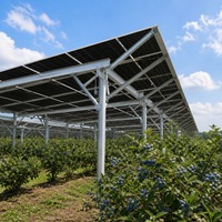 Système de montage solaire agrivoltaïque sur structure de support photovoltaïque au sol pour vergers, pour exploitation agricole commerciale