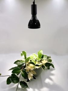 하이 퀄리티 Led 빛 개암 식물 전체 스펙트럼 식물 성장 전구 E27 스포트라이트 - Product Image 2