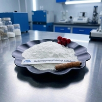 Poudre d'hydroxypropylméthylcellulose (HPMC) de qualité alimentaire en vrac à prix avantageux