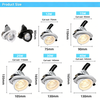 Luminaria LED de Techo de Alta Eficiencia con Certificación CE, ETL y SAA, 12W, 15W, 25W, 30W, 40W, Ajustable, Giratoria 360°, de Aluminio, Tipo Trompa de Elefante