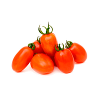 Maanster Hybride Rode Langwerpige Tomatenzaadjes. Plantmateriaal Hoge Opbrengst Variëteit 99,9% Zuiverheid 2 Jaar Houdbaarheid voor Commercieel Gebruik