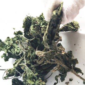 Thé biologique en vrac Xun Ma Ye, feuilles d'<span class=keywords><strong>ortie</strong></span> séchées, thé aux herbes - Product Image 3