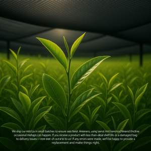 Mélange de matcha biologique cérémonial de première récolte, formule personnalisée, 100g |   Première récolte authentique du Japon, provenant de Kagoshima - Product Image 3