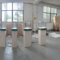 Vitrine de présentation de bijoux en verre inoxydable, logo personnalisé OEM ODM, mobilier de luxe pour bijouterie, design de magasin de détail et de showroom