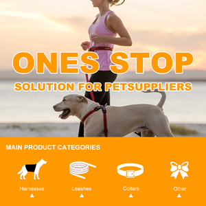 Correa de Nailon Personalizada para Perro con Doble Asa y Liberación Rápida, Reflectante y Acolchada para Seguridad en el Tráfico - Product Image 3