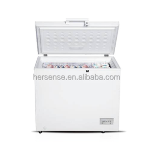Congelador Horizontal BE251 de Gran Capacidad con Cesta Extraíble para Uso Doméstico, en Garajes y Comercial, Diseño de Tapa de Apertura Fácil - Product Image 3