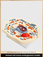 Modelo de Célula Animal, Anatomía Microscópica, Membrana Celular, Citoplasma, Núcleo, Mitochondria, Ciencia Médica, Anatomía, China