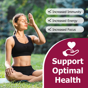 Oem Odm Private Label Matcha Mushroom Powder Collagen Energy Supplement Lions Mane Mushroom Matcha Powder Increased Focus - Product Image 6