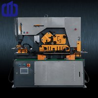 Machine de découpe et de poinçonnage hydraulique combinée Q35Y-25 personnalisée, à double cylindre, pour la découpe d'angles en acier, certifiée ISO 9001