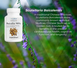 Baicalin baicalin Baikal skullcap สารสกัดจากราก85% baicalin แคปซูล baicalin ผลิตภัณฑ์เสริมอาหาร - Product Image 6