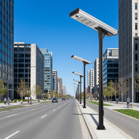 Lampe solaire LED pour rue, installation facile, haute efficacité, indice de protection IP65, allumage/extinction automatique, certifiée RoHS, garantie de 3 ans