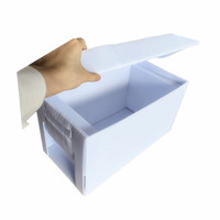 Prix bas en plastique polypropylène abeille Nuc boîte ruche Nuc boîte pliante reine élevage ruche