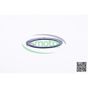 Disque d'entraînement de moteur RS-372138 Jenbacher - Product Image 3