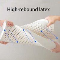 Apivita Z-260 Oreiller en latex naturel du Shandong personnalisé en usine, soutien cervical pour adulte, forme bonbon, motif feuillage