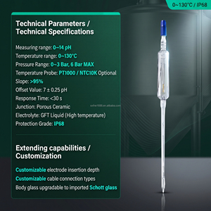 Electrodo de pH de Vidrio XF232 para Medidor de pH Industrial y Analizador de Agua - Compatible - Probado por Ingeniero Experto - Product Image 3