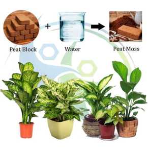 Bloque de Fibra de Coco, Alta Retención de Agua, Ligero, Ecológico, Biodegradable, Mezcla para Macetas, Sustrato de Cultivo para Jardín - Product Image 3