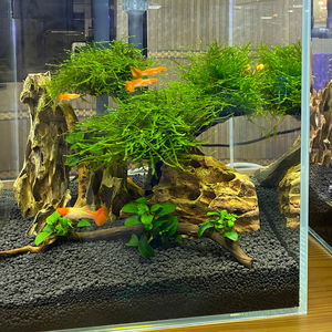 현대적인 친환경 갈색 용석 수족관 장식석 10-50cm 불규칙 모양 어항 장식품 - Product Image 1