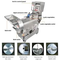 Industriële automatische snijmachine voor fruit- en groentechips van hoge kwaliteit, met beste prijs