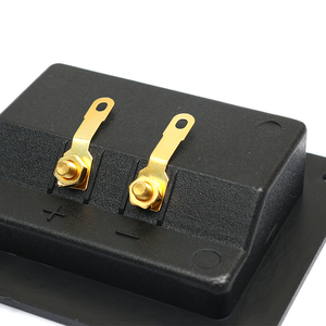 Đầy đủ tùy chỉnh OEM mẫu miễn phí ổ cắm âm thanh tốt tinh khiết đồng khối thiết bị đầu cuối hình chữ nhật âm thanh hộp nối loa ổ cắm thiết bị đầu cuối - Product Image 3