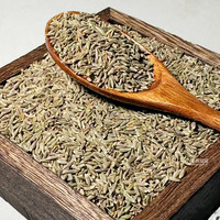 Vente en gros de poudre de cumin vert de haute qualité, épices en vrac