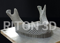 Riton Ti-150 Peralatan Cetak Medis Printer Titanium 3d Laser Bersama Printer 3d Industri